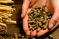 Forgewood pellet boiler